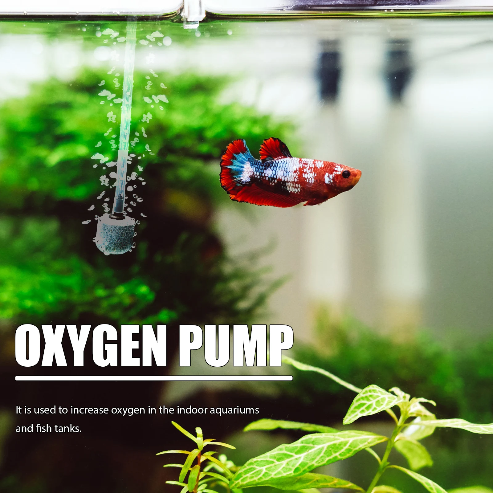 

USB Oxygen Pump Aquarium Fish Tank Mini Air Supply Aerator ABS Copper Material Practical Indoors Outdoors Pet Supplies