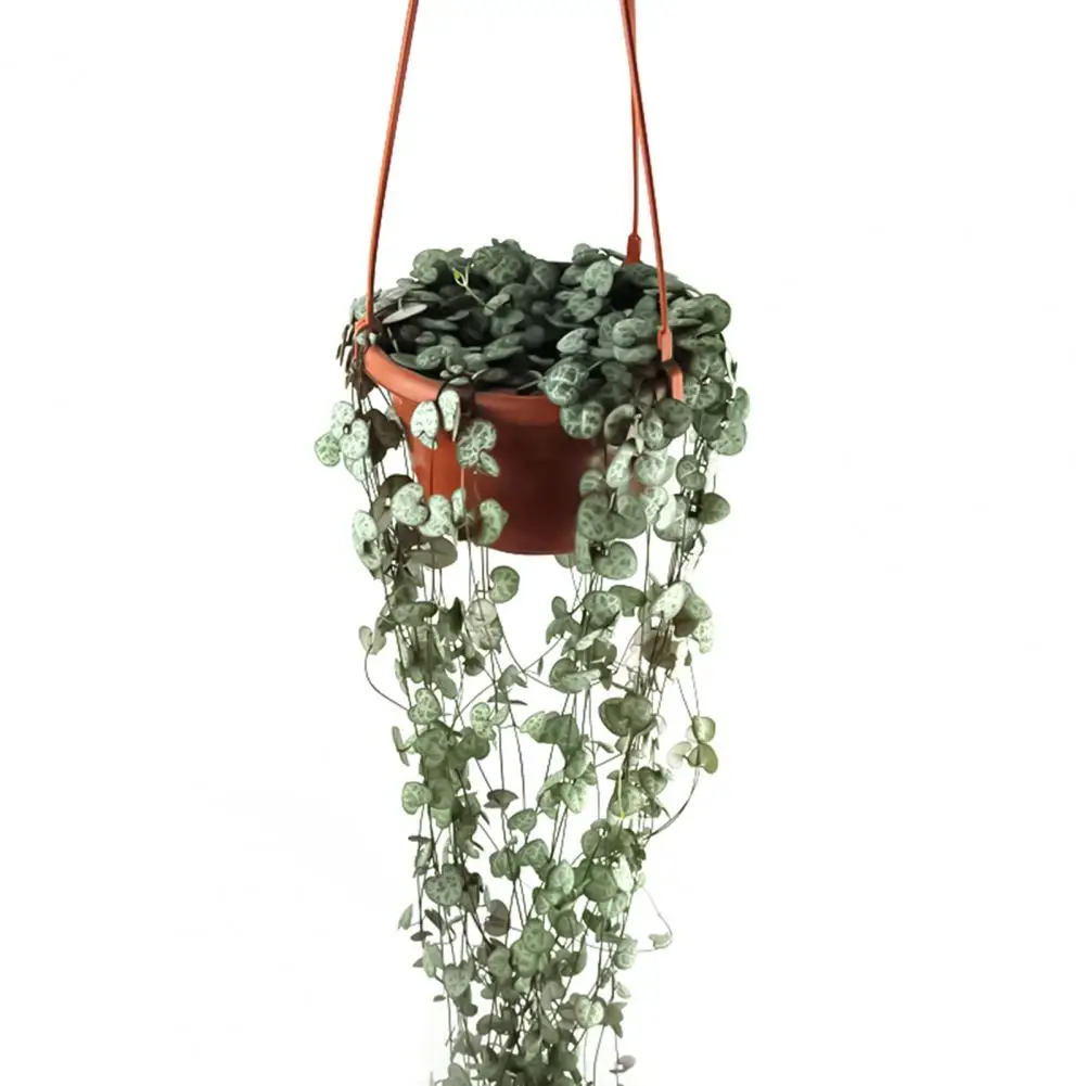 Small  Beautiful Hanging Planter Decor Pot Plastic Flower Pot Corrosion Resistant   for Hallway