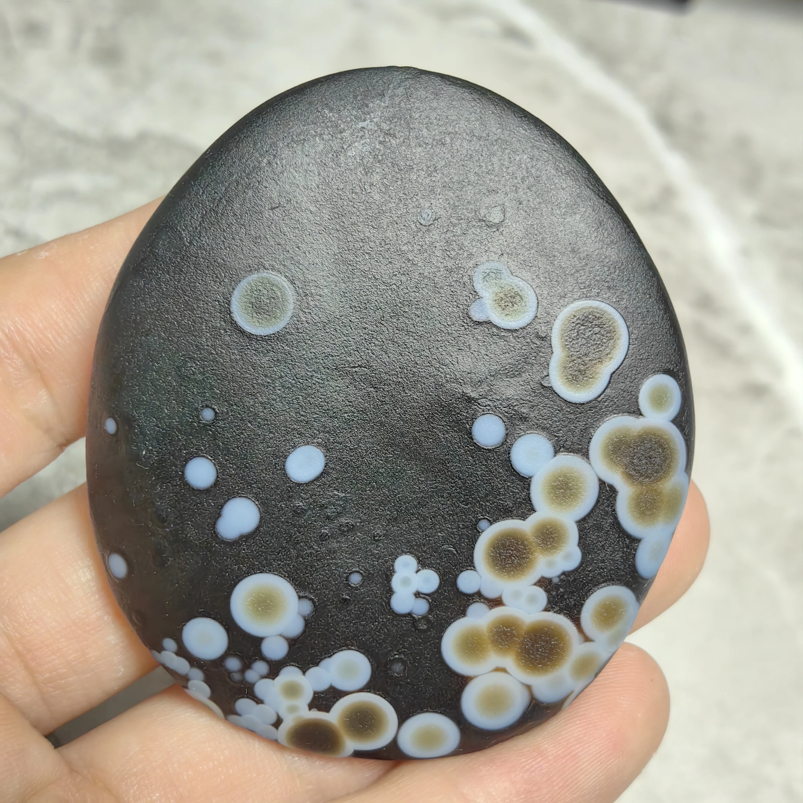 Natural Black Background Flower Eye Agate Raw Palm Stone, Unique Bubble Pattern Ocean Chalcedony Mineral Specimen
