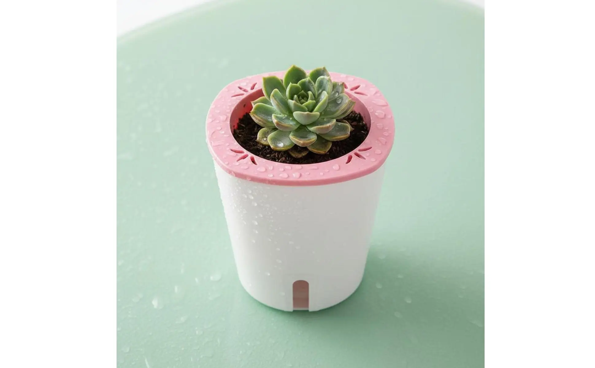 Self Watering Planter Large Size Self Watering Pot Water Reservoir Planter Hydroponic Garden Container Lightweight for Outdoor