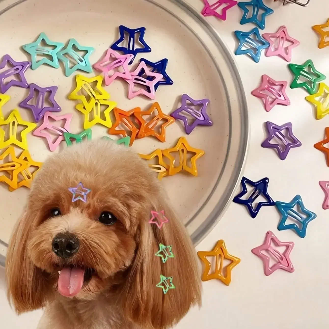 20pcs Pet Hair Clips Set, Cute Dopamine Colorful Star Pattern Hairclips, Suitable for Pet Headwear Decoration