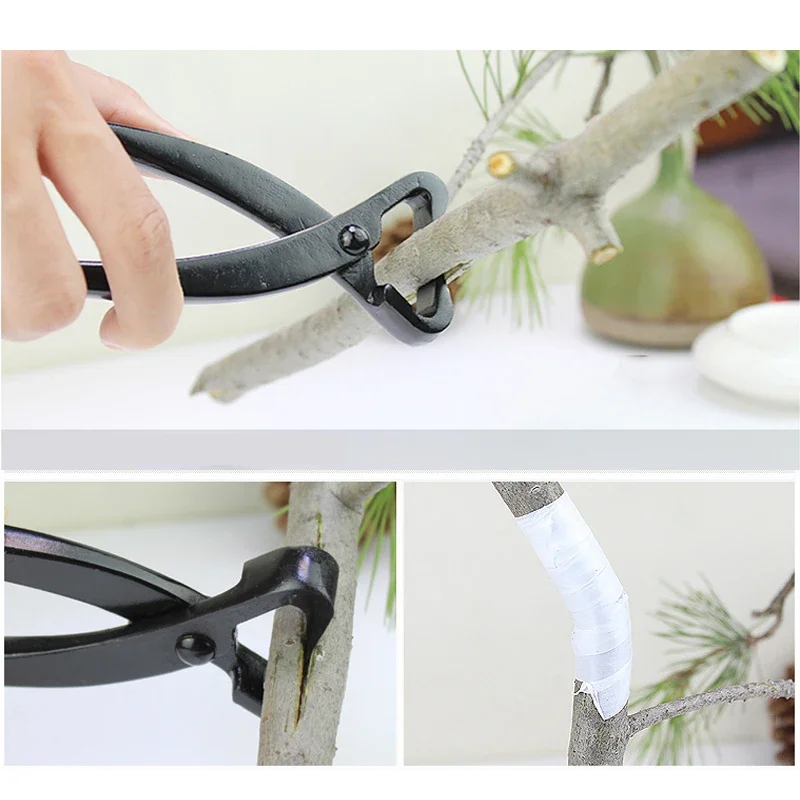 Imagem -03 - Bonsai Botão Cortador Côncavo Edge Cutter Ball Shear Scissors Paisagem Modelagem Ferramentas de Jardim 1pc Profissional