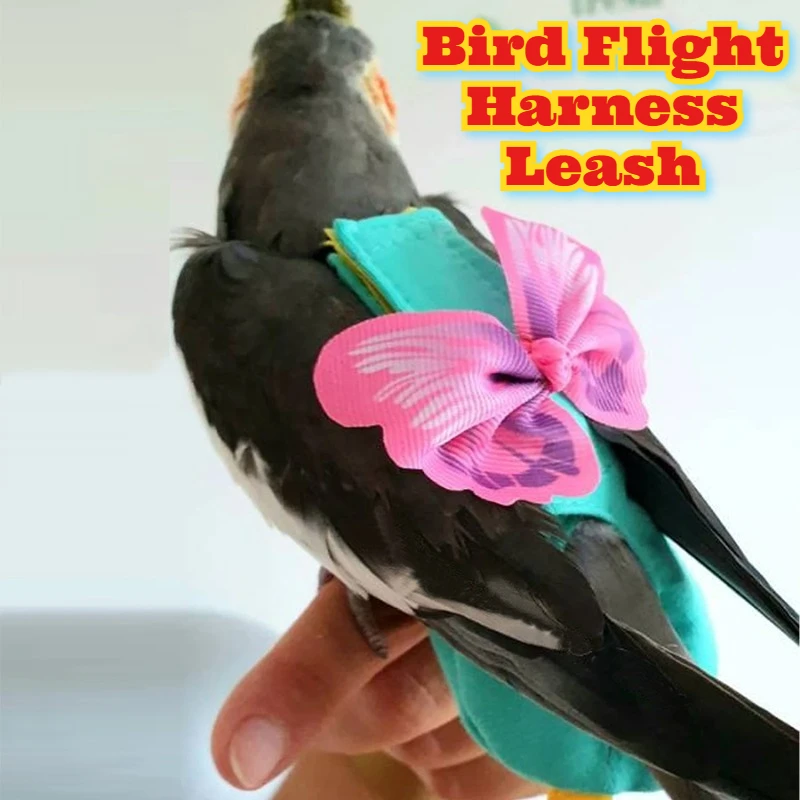 

Bird Flight Harness Leash Parrot Training Vest Cockatiel Conure Lovebird Aviator Strap Birdcage Exercise Outdoor Flying Leash