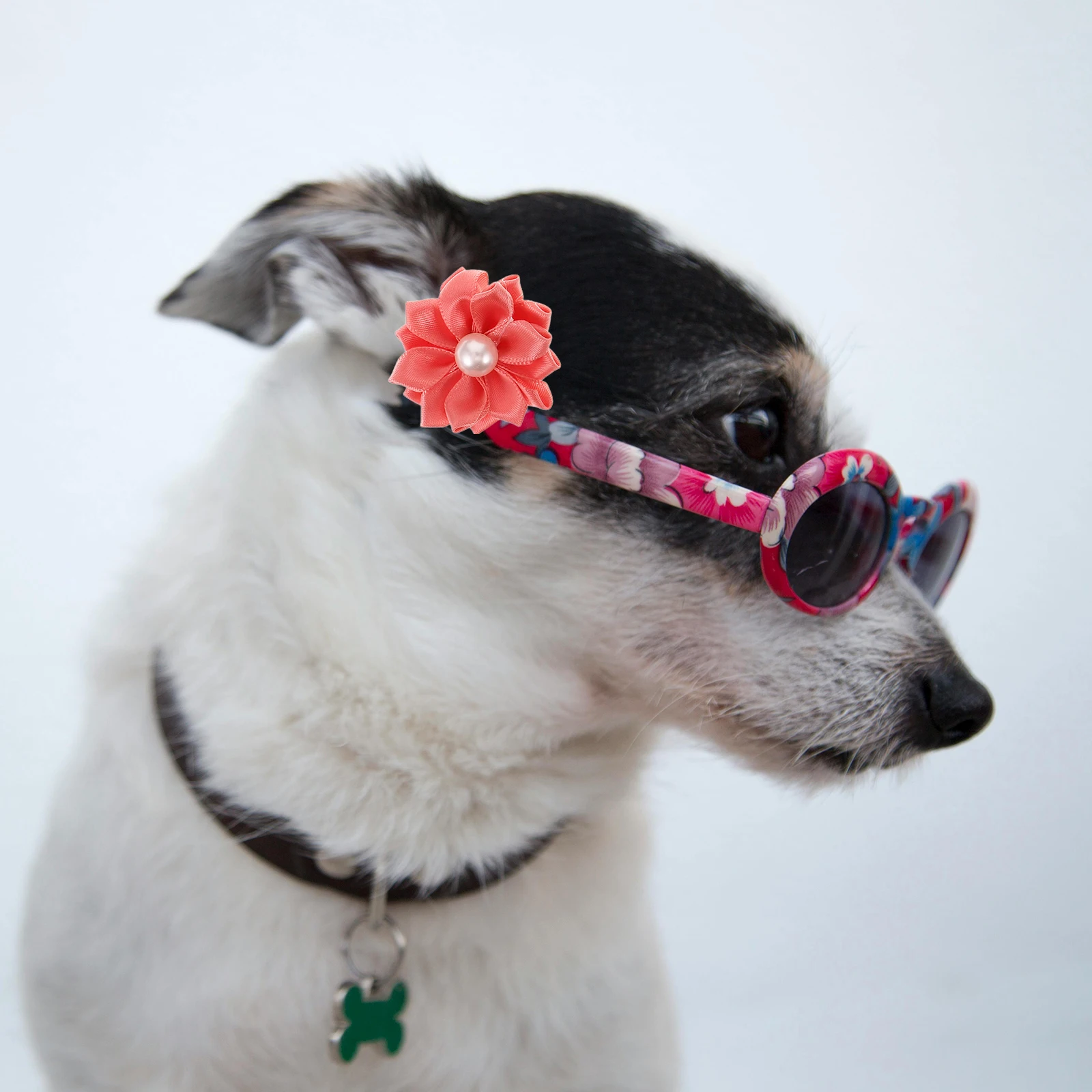 

20pcs Pet Hair Accessories Chic Flower Tie Dog Rope Ring naments Long Hair Holder Stylish Everyday Pet Friendly