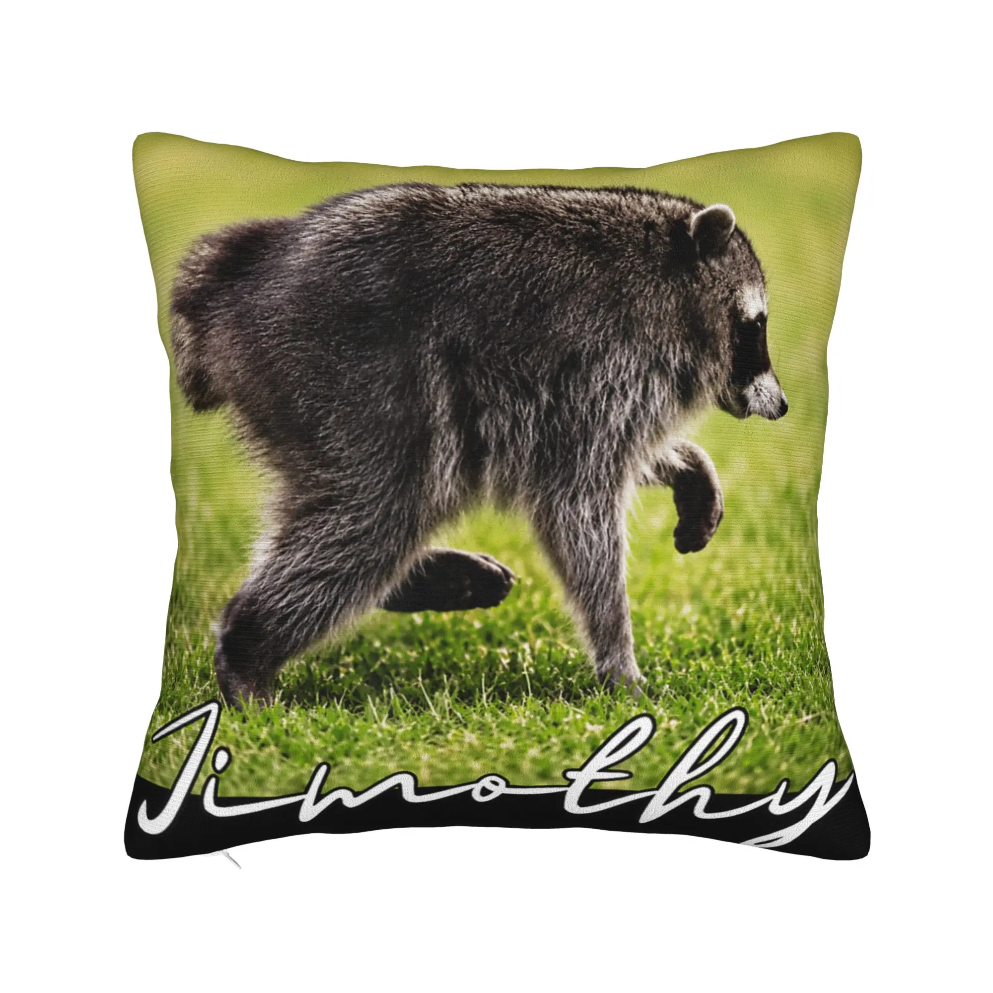 Pillow Case Seattle Jimothy Raccoon Meme Trash Panda Humor Pillow Cover For Office Car Home Decor Retro Trendy Pillowcases