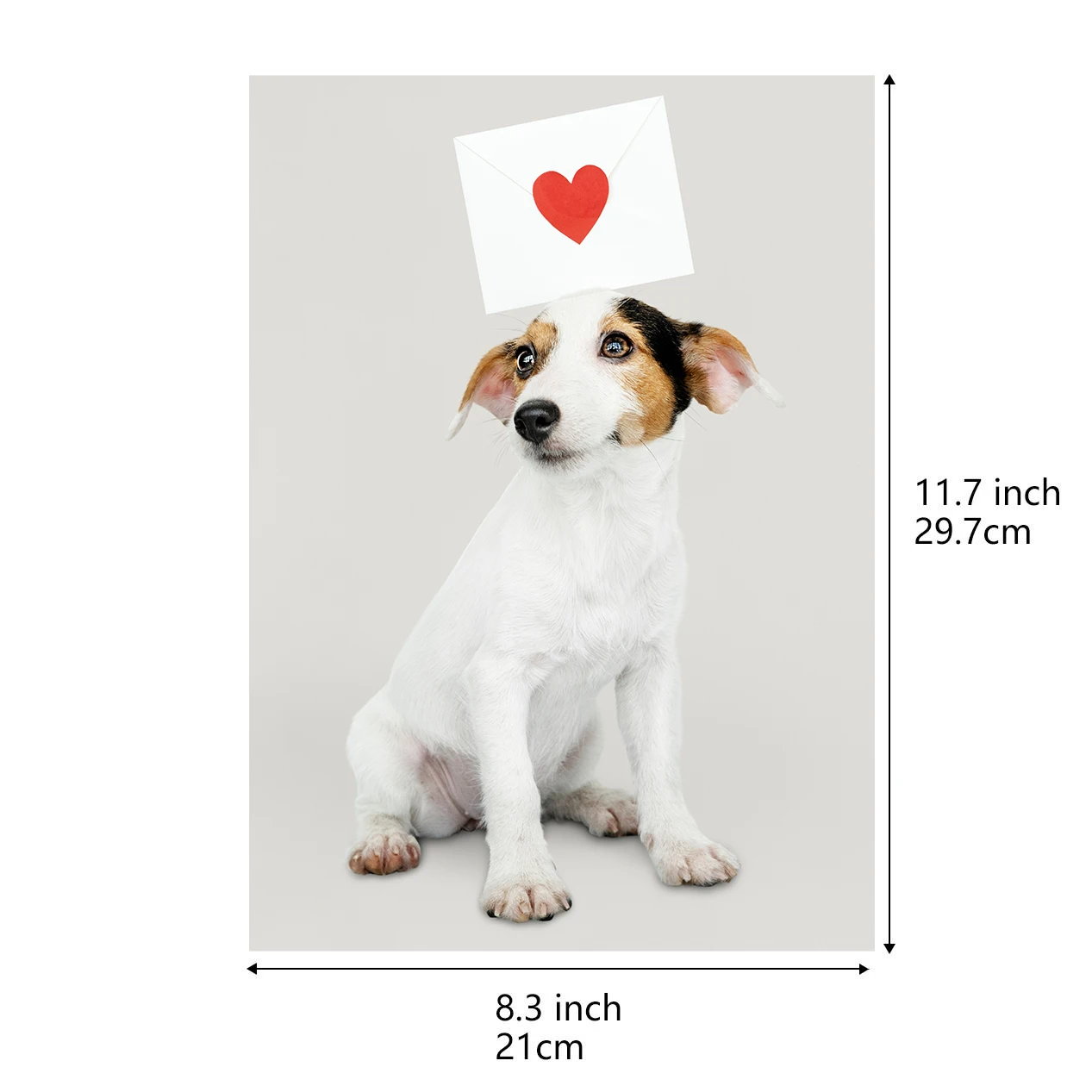 Glossy Inkjet Photo Paper, 61lb/230gsm,  A4 Size( 8.3x11.7 inch, 210x297mm), 20/50 Sheets