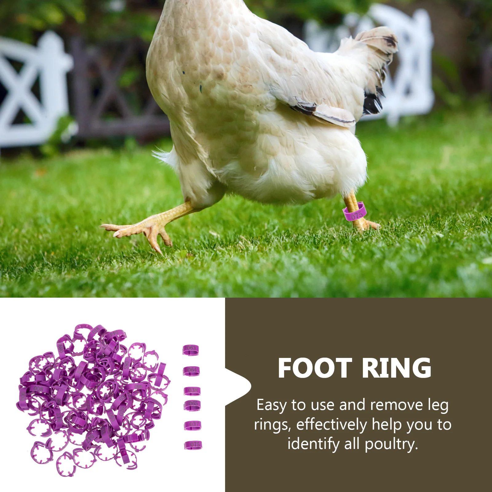 

100Pcs Chicken Leg Bands Bright Colors Durable Smooth Surface Poultry Identification Rings Numbered Foot Mark Rings for Breeding