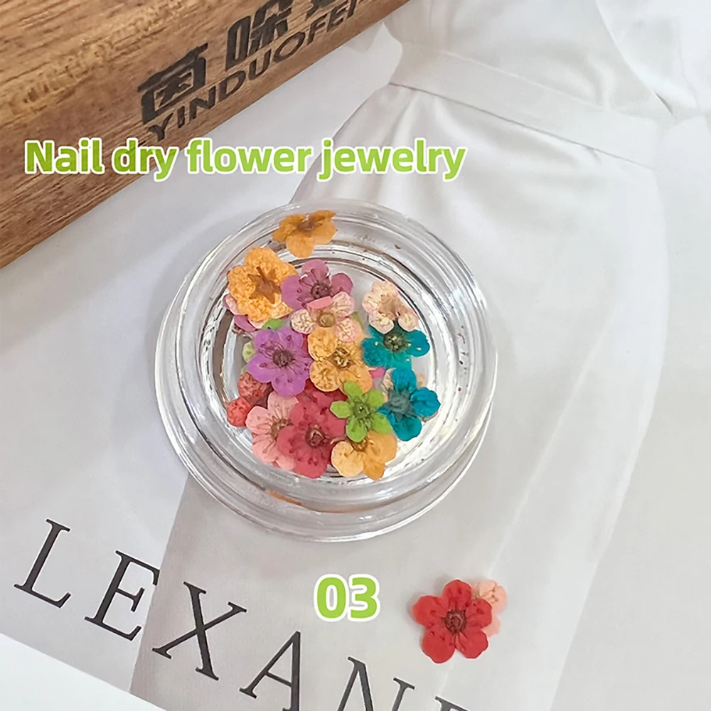 Dijes románticos para decoración de uñas, diseño de flores secas brillantes, decoración de Babysbreath, joyería DIY, suministros de diseño de manicura mixta coreana, novedad de 2024