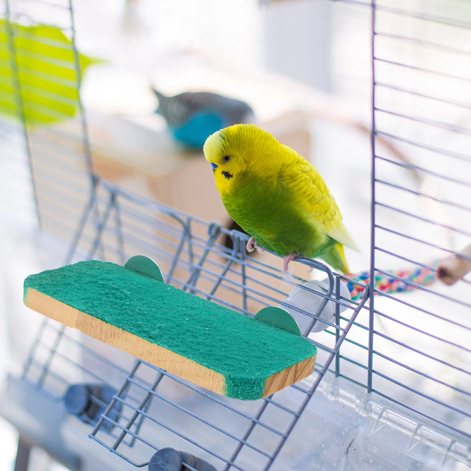 

Bird Platform Parrot Wooden Stand Small Pet Exercise Perch Training Platform Cage Accessory Parrot Exercise Toy