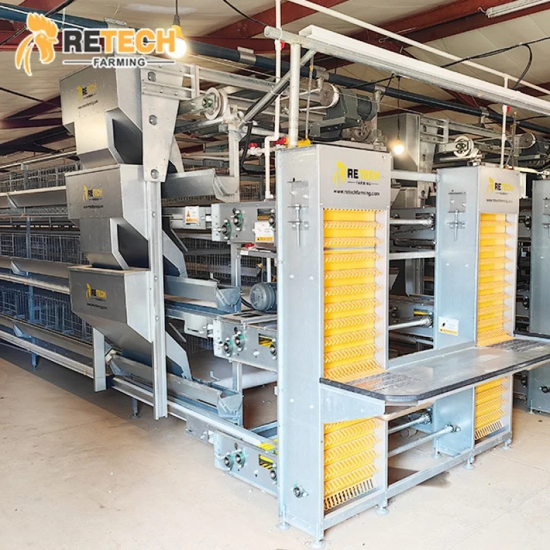 

H Type Automatic Poultry Equipment Chicken Cages Pullet And Layer