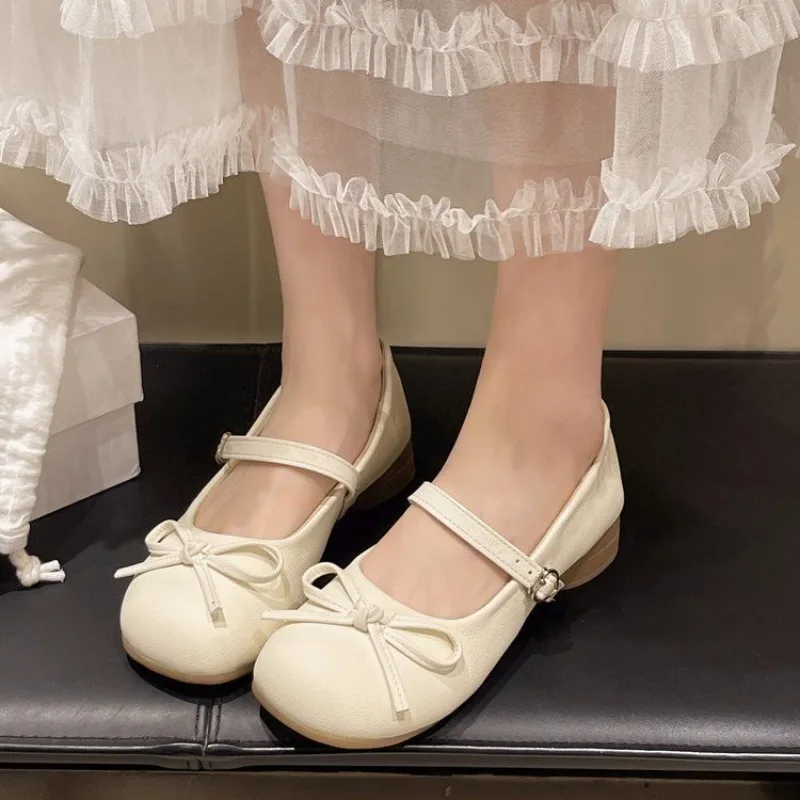 

Women's Bow Mary Jane Shoes 2026 Spring Summer Round Toe Buckle Strap Chunky Heel Casual Ballet Flats for Ladies