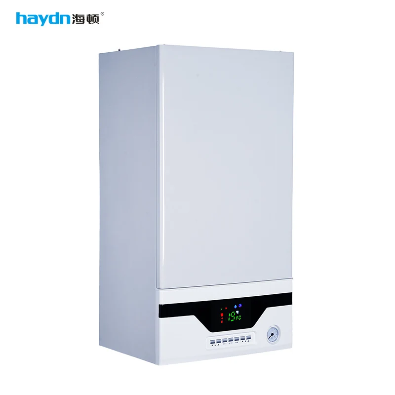 High Efficiency Gas Boiler With Quiet Operation Compact Design And Easy Operation 24KW