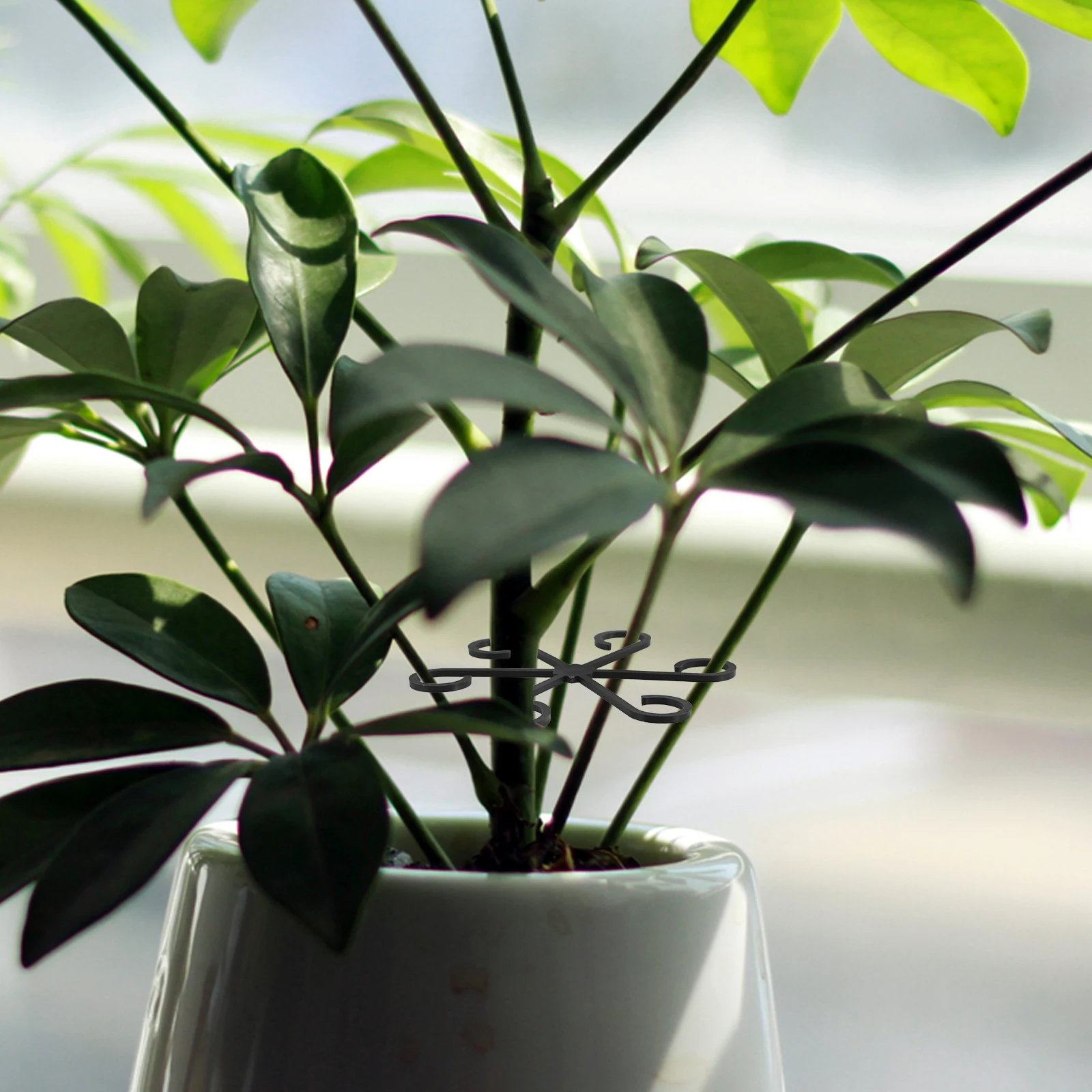 

8Pcs Plastic Plants Cage Holder Adjustable Plant Stem Support for Indoor Flowers Monstera Stabilizer Flower Pot Climbing Trellis