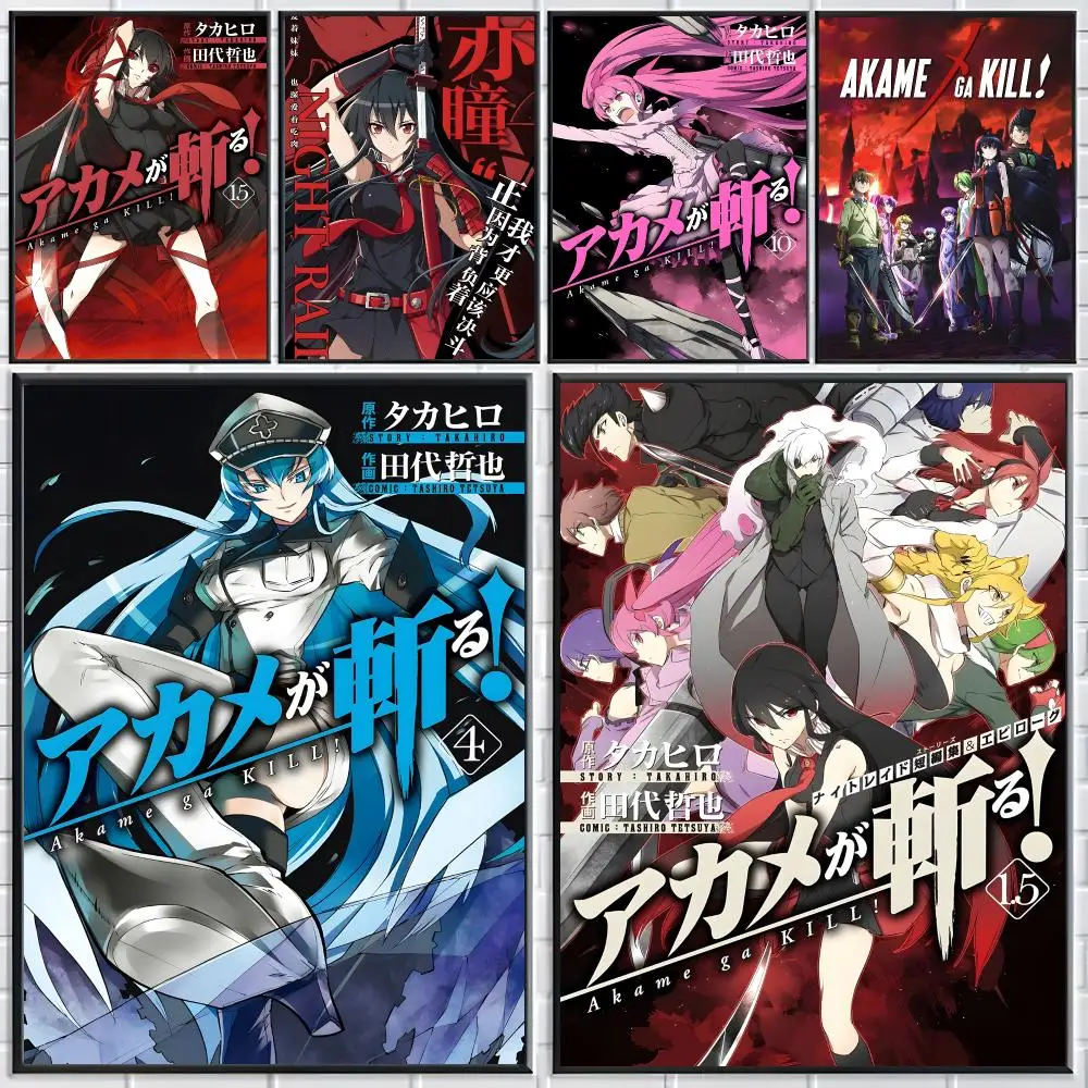 Anime Akame ga Kill! Poster Modern Elegant Wall Stickers, Home Decor Poster, Wall Art for Living Room & Dorm