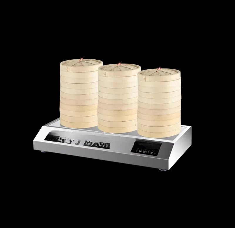Practical electric steamer for the catering industry, made of stainless steel, three control panels, flexible temperature