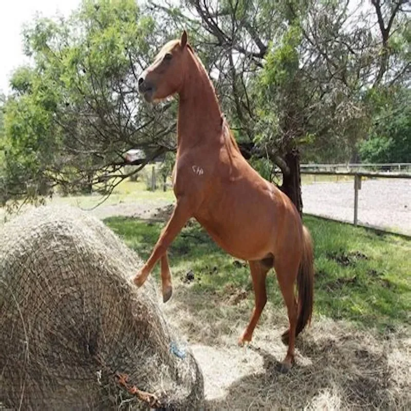 sturdy-mesh-slow-feed-hay-bag-for-horses-reliable-feeding-tool-perfect-for-daily-livestock-care-and-farm-use