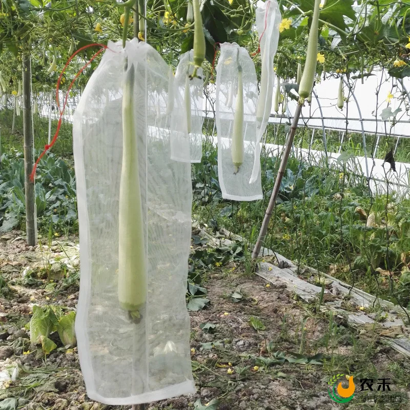 10/50 Grape Fruit Grow Bags with Mesh Netting, Used for Protecting Strawberries and Vegetables, Gift Organza Bags, Anti-Bird and Anti-Insect Orchard Net Bags
