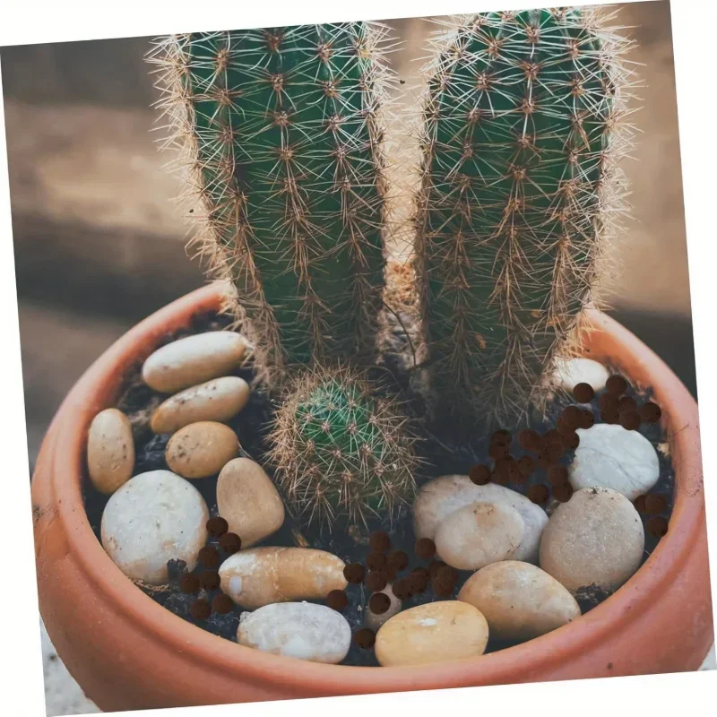Lightweight Breathable Clay Beads Aquarium Decor Hydroponics Succulents Bonsai Drainage Root Rot Prevention Garden Decor