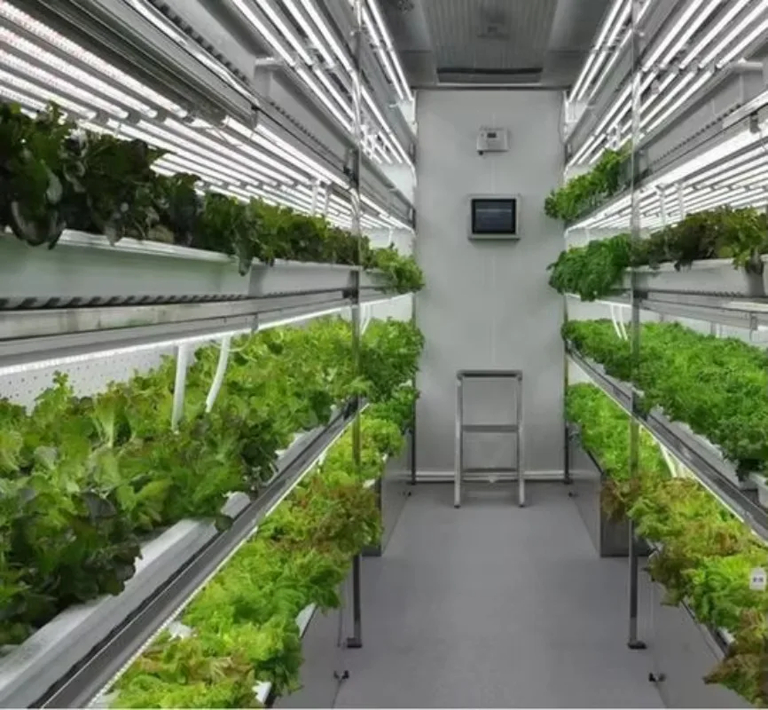 Serra agricola per contenitori per piante con sistema di coltivazione microgreen commerciale per coltura idroponica per interni