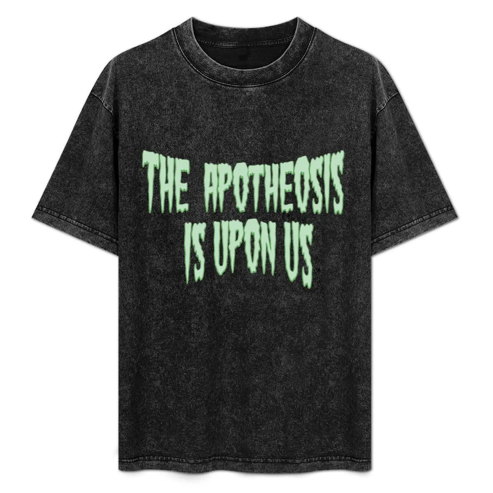 The Apotheosis is Upon Us - The Guy Who Didn't Like Musicals T-Shirt Comfortable Daily Wear Tee