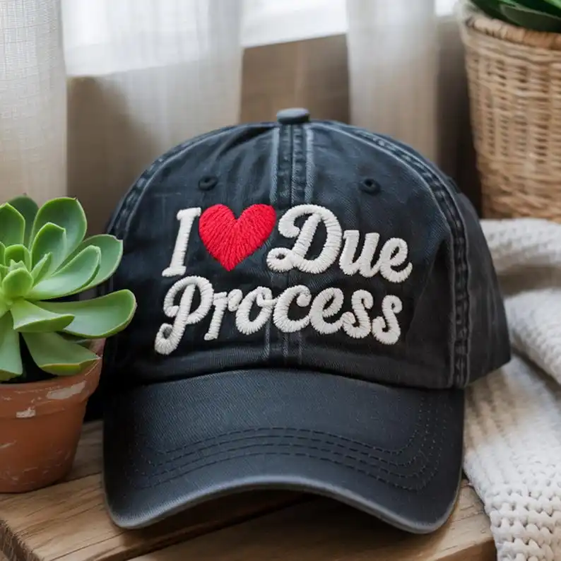 I Love Due Process Embroidered Dad Hat: Lawyer Gift