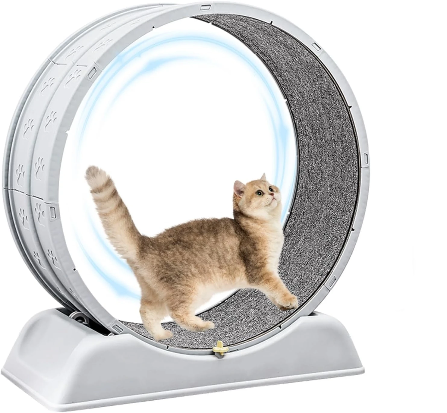 Cat Running Silent Home Interactive Toy Cat Exercise Pet Treadmill Wheel Cat Exercise Wheel