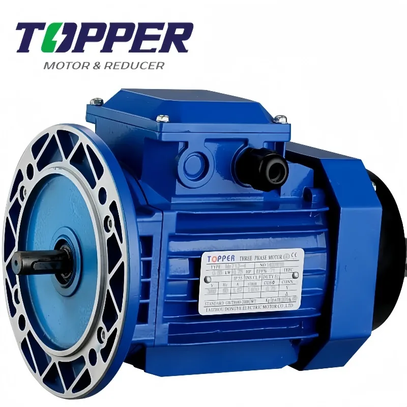 

Square Aluminum Shell Three-Phase Asynchronous Motor High Quality Low Noise AC Electric Motor for Food Processing Machinery
