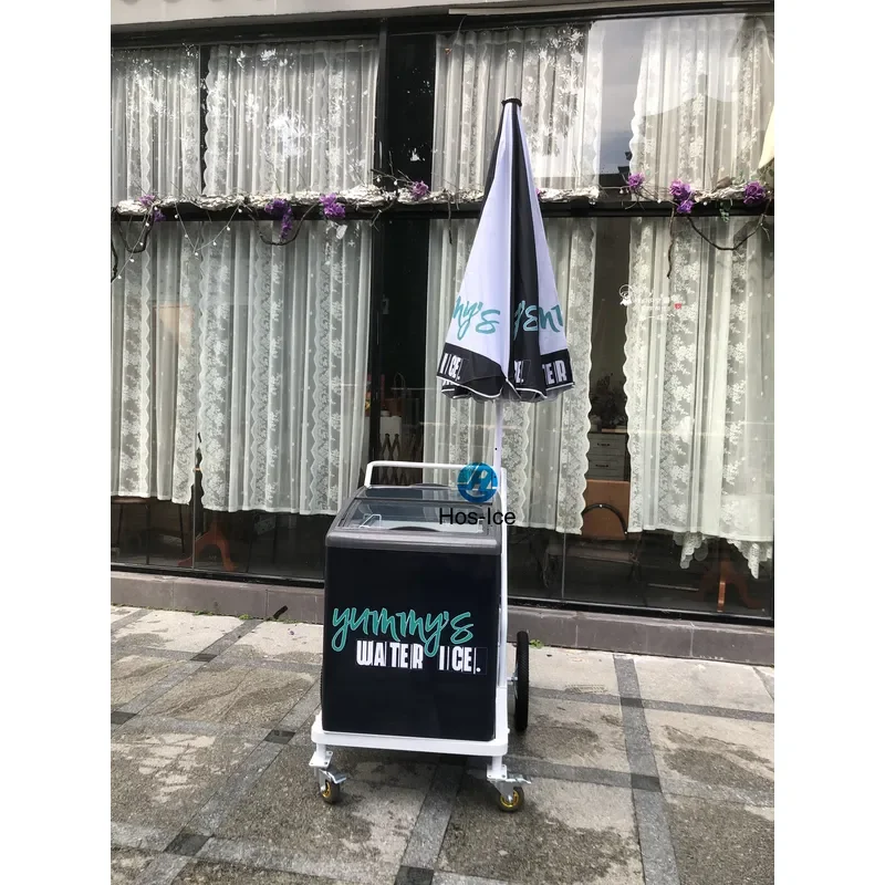 CE Certificate Mobile Ice Cream Push Cart with Freezer Display Cabinet Battery Operated Refrigeration System for Ice Cream