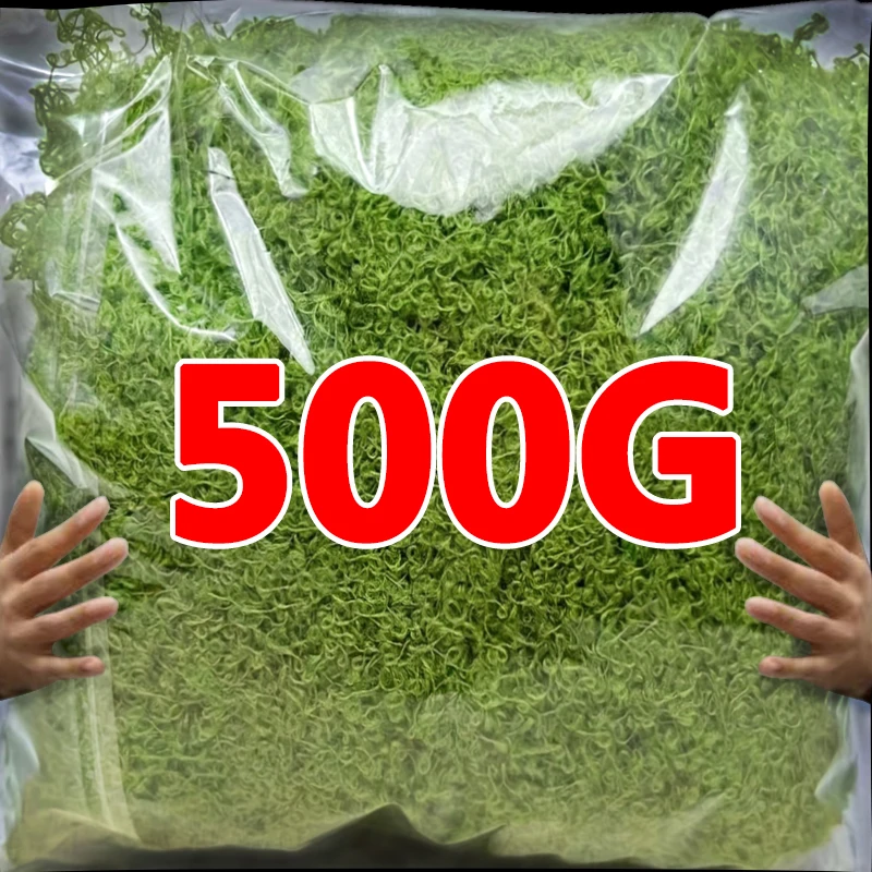 500/30G Artificial Green Plants Eternal Life Moss Mini Landscape Fake Grass DIY Crafts Grass Garden Home Room Potting Decoration