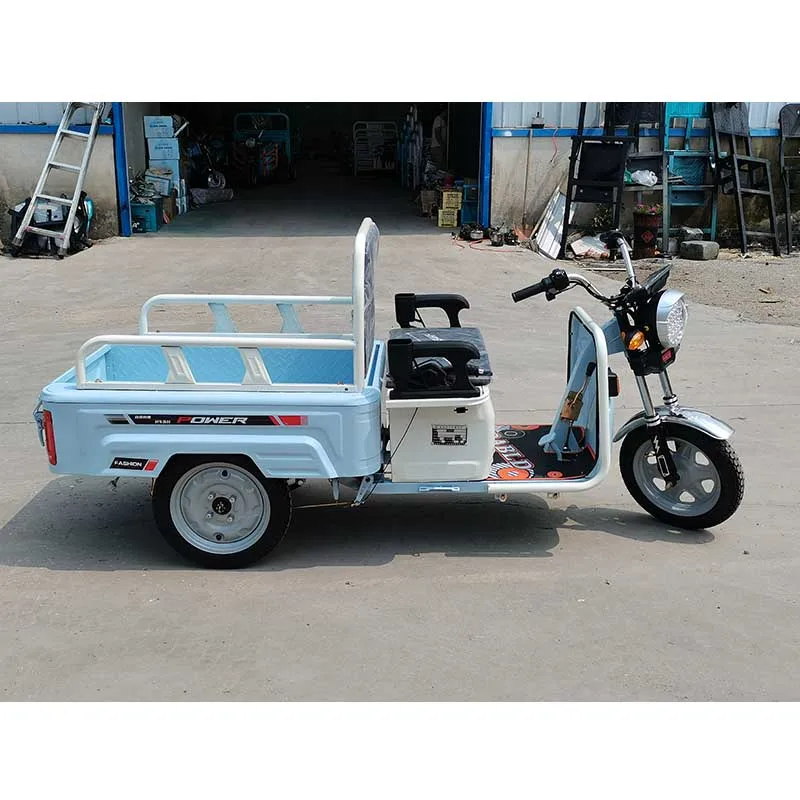 2026 New Model Mini 600W Open Body Cargo Electric Adult Multifunction Tricycle Folding Electric Car and Cargo Tricycle