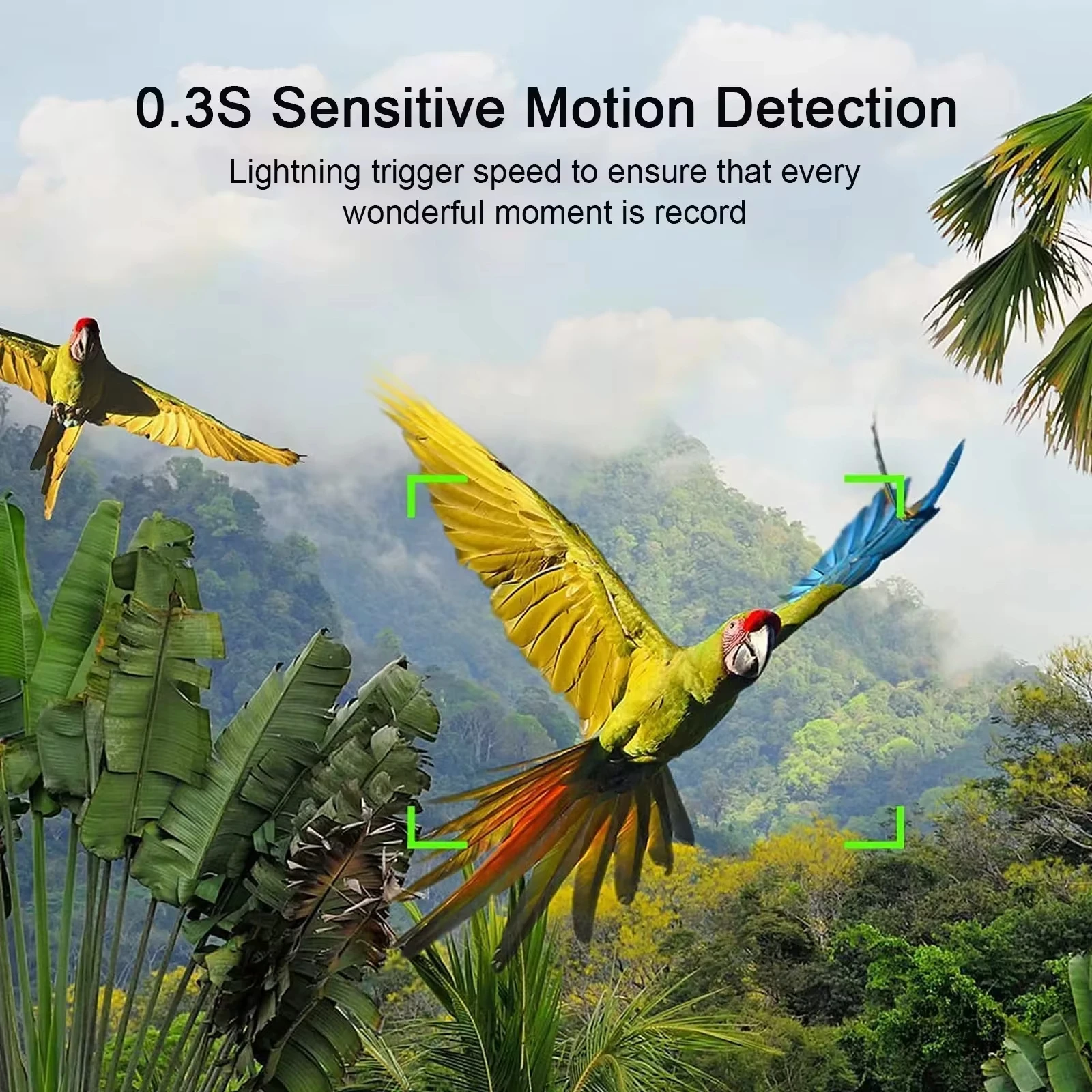 Mini600/Mini301 Mini Trail Hunting Camera Wildlife Hunter Cameras 20MP 1080P Forest Animal Cam Photo Trap Surveillance Tracking