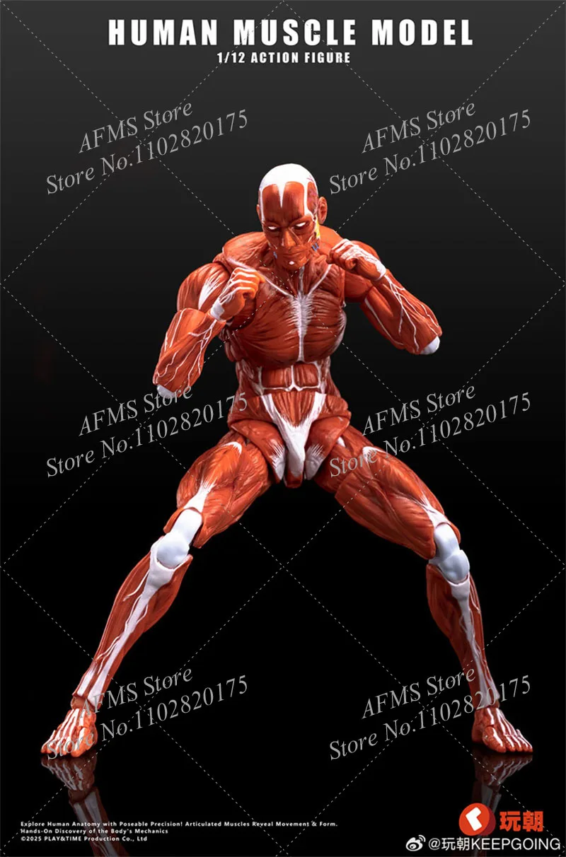 KEEPGOING Scala 1/12 Figura Da Collezione Modello Muscolare Umano 6 "Action Figure Soldato Modello di Scheletro Artista Medico Disegno Giocattoli