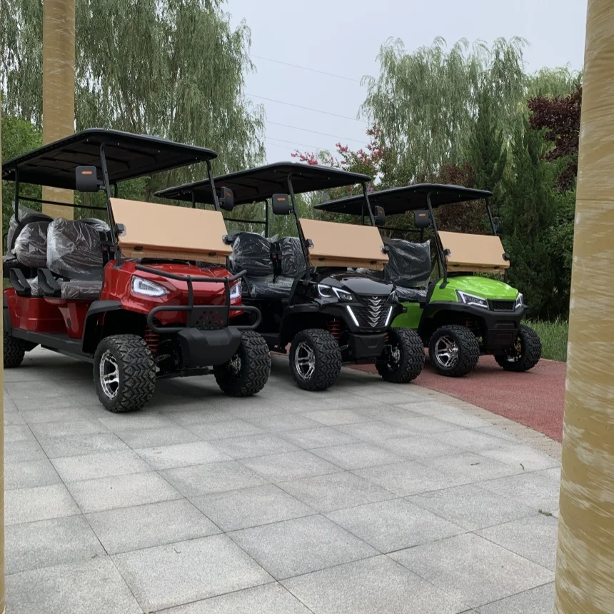 Customized New Version Disc Brake Electric Golf Cart With Golf Bag Straps And Basket Side Mirror With Turning Light Club Car