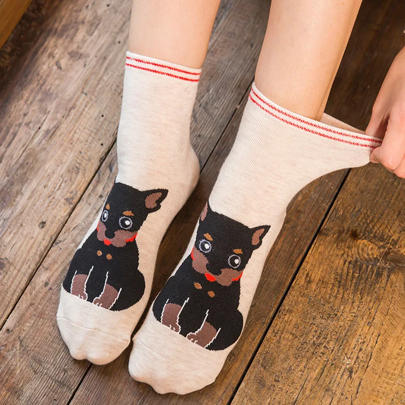 5 Pairs Fashion Colorful Kawaii Cute Cartoon Cotton Women Socks