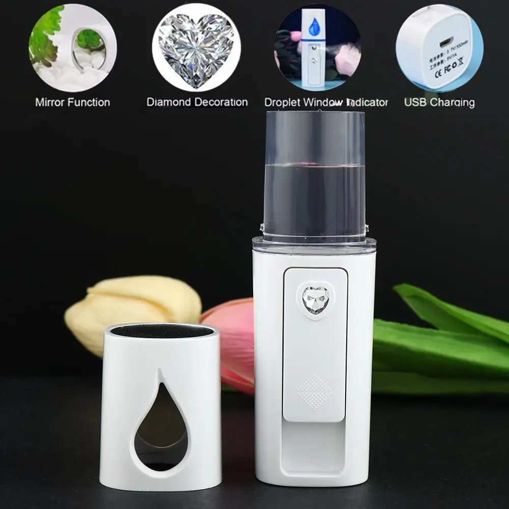 Rechargeable Beauty Instruments Moisturizing USB Facial Humidifier Mist Spray Machine Handy Face Steamer Nano Facial Sprayer