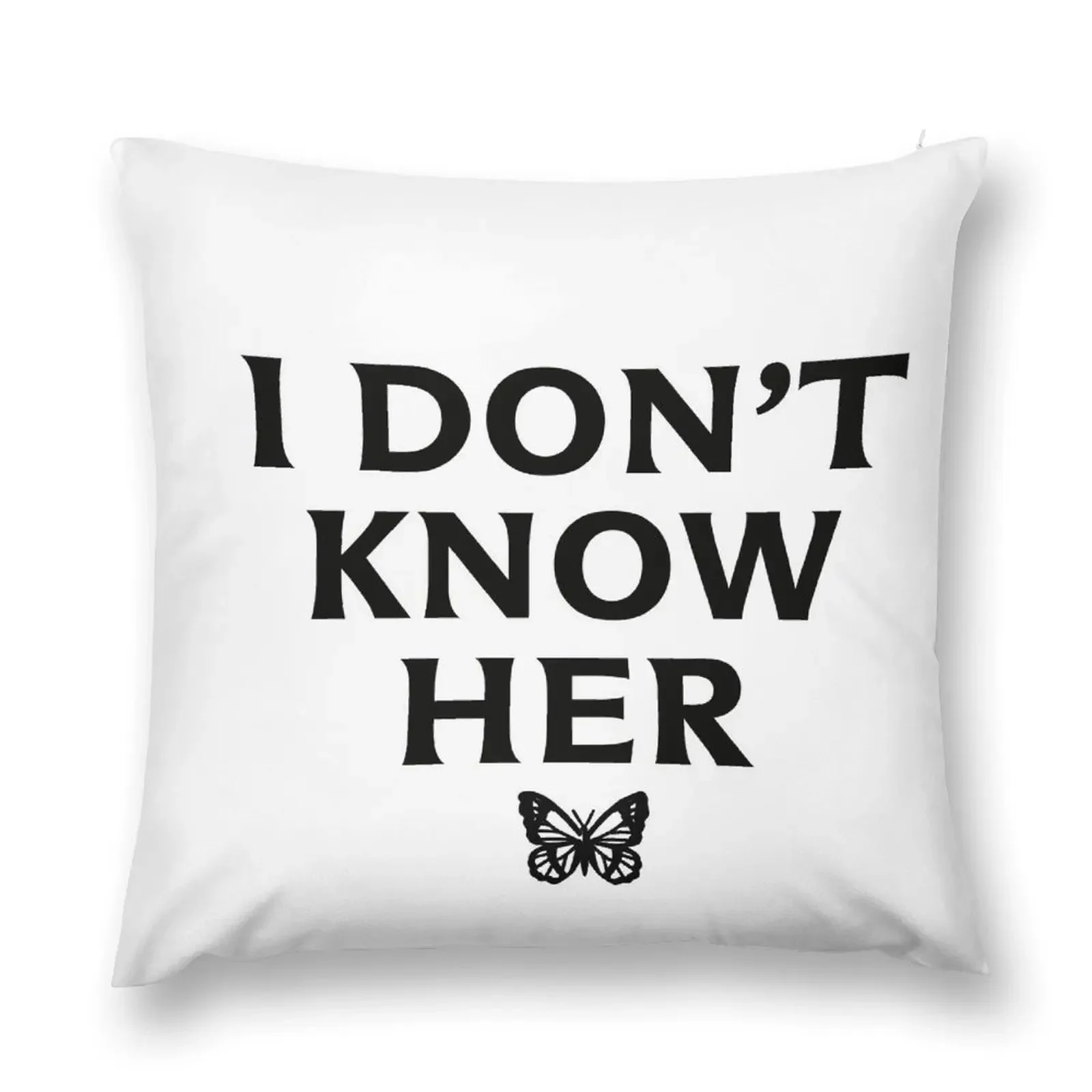 I DON'T KNOW HER Mariah Carey Quote Throw Pillow Decorative Sofa Cushions pillow