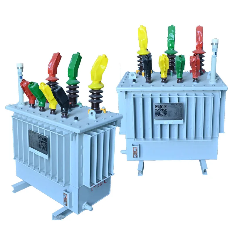 Electric Electricity Distribution Transformer 100kva Three Phase Transformer S11 Oil-immersed Transformer Power TOROIDAL 50/60hz