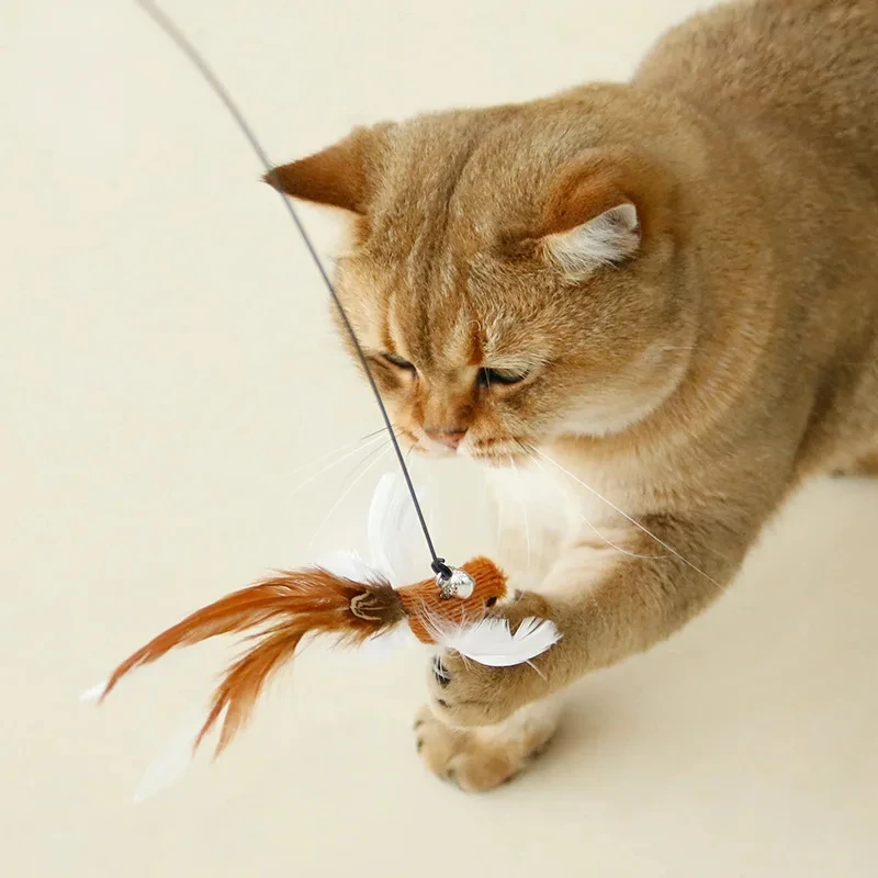 Funny Bird Feather Cat Wand With Bell Accessories Interactive Toys For Cats Kitten Hunting Teaser Exercise Pet Products