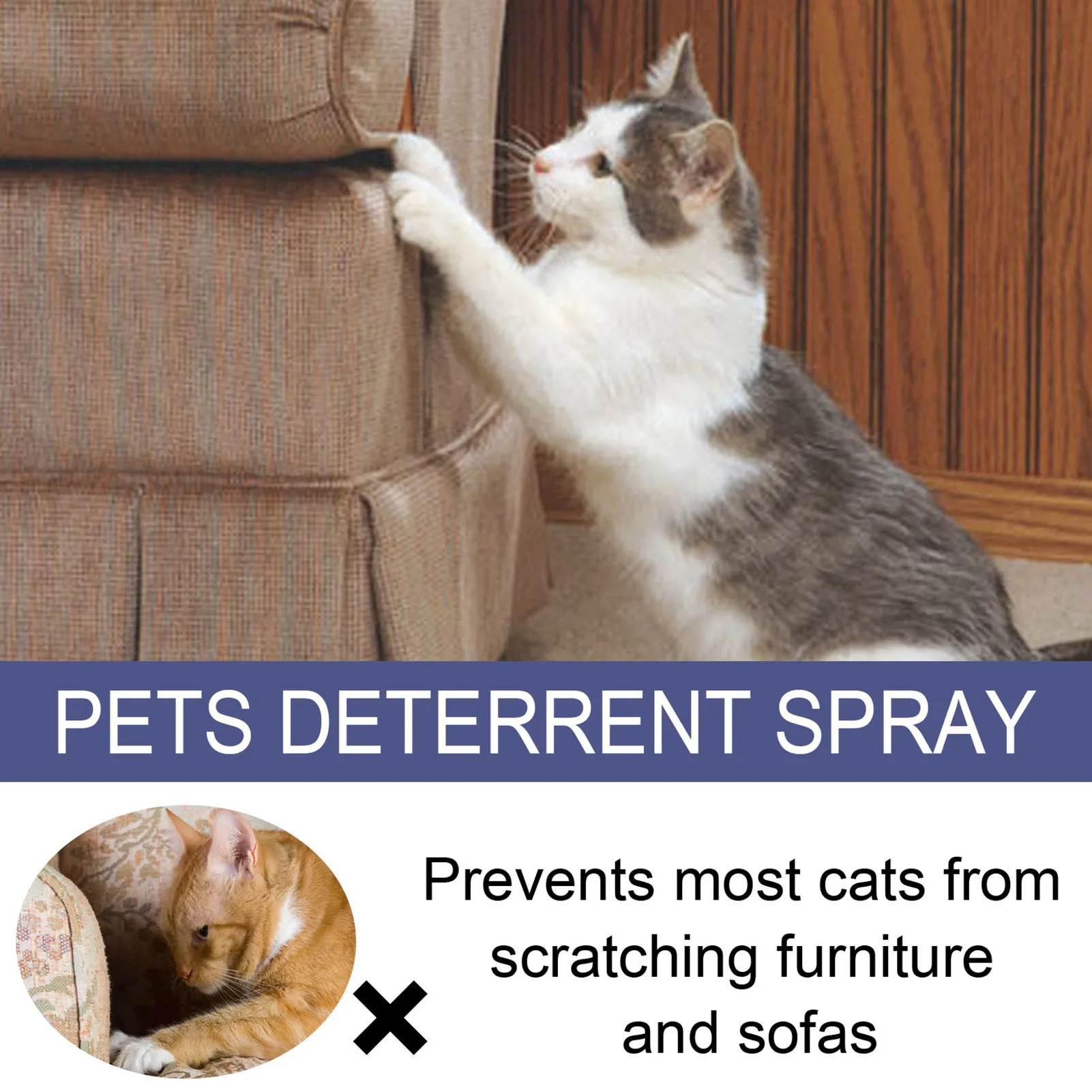 Cat Spray Deterrent Protect Furniture Spray For Anti Scratching & Biting Herbal Plant Safe Ingredients Keep Pet Off Pr Sale