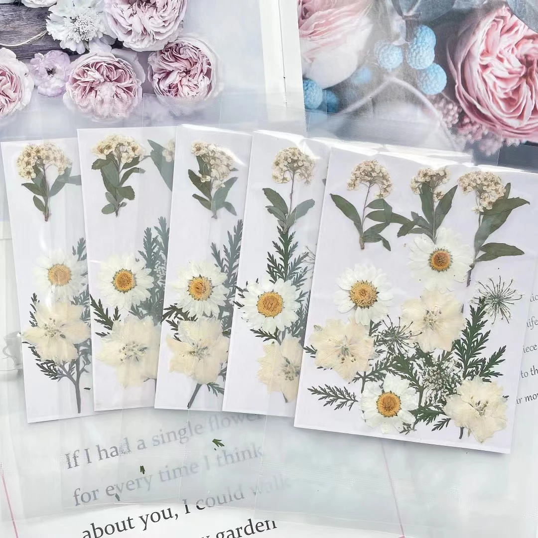 15pcs/set Pressed Dried Flower Leaf Plant Herbarium For Jewelry Bookmark Postcard Phone Case Invitation Card DIY Design-5