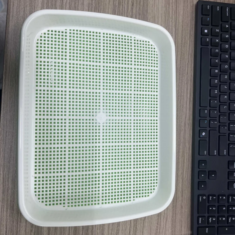 صينية إنبات البذور بدون تربة لزراعة شتلات الحديقة ونمو أداة زراعة براعم الفاصوليا النباتية #1