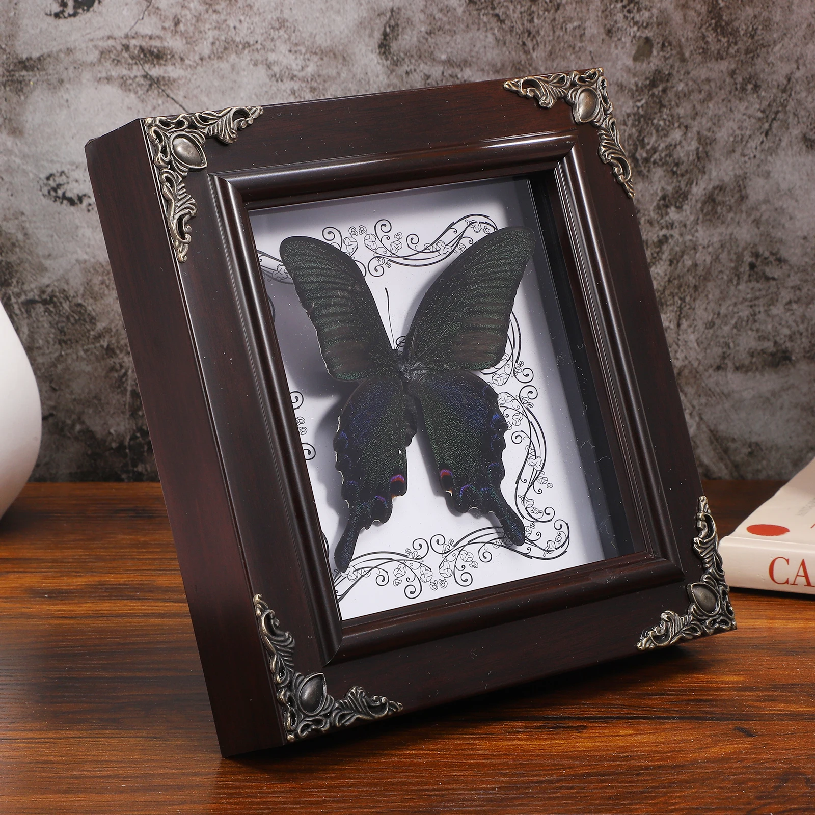 

Butterfly Specimen Frame Photo Framed Display Insect Specimens Mounted Home Decor Vintage Style Piece DIY