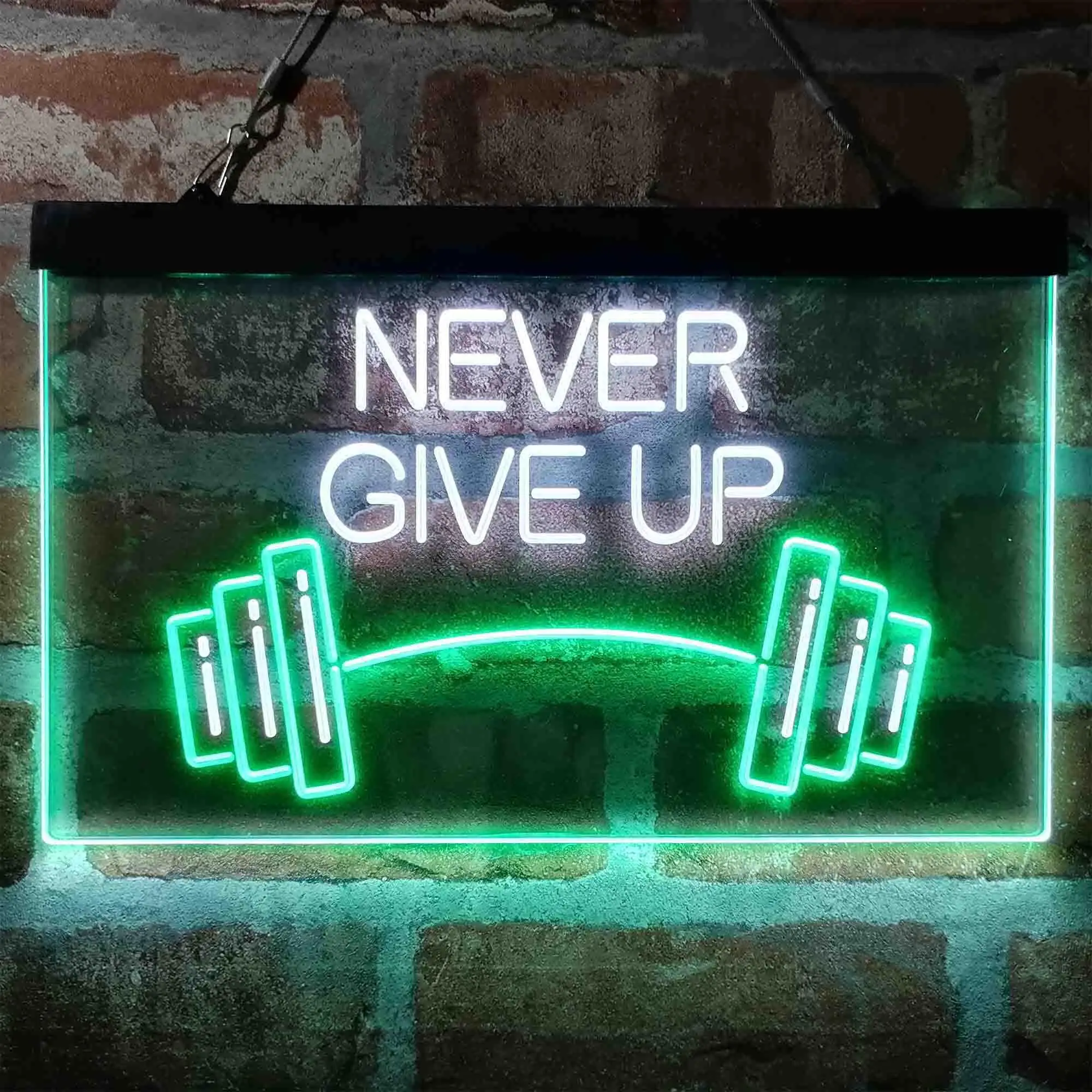 Never Give Up Weight Train Fitness Gym Dual Color Led Neon Sign st6-i4041