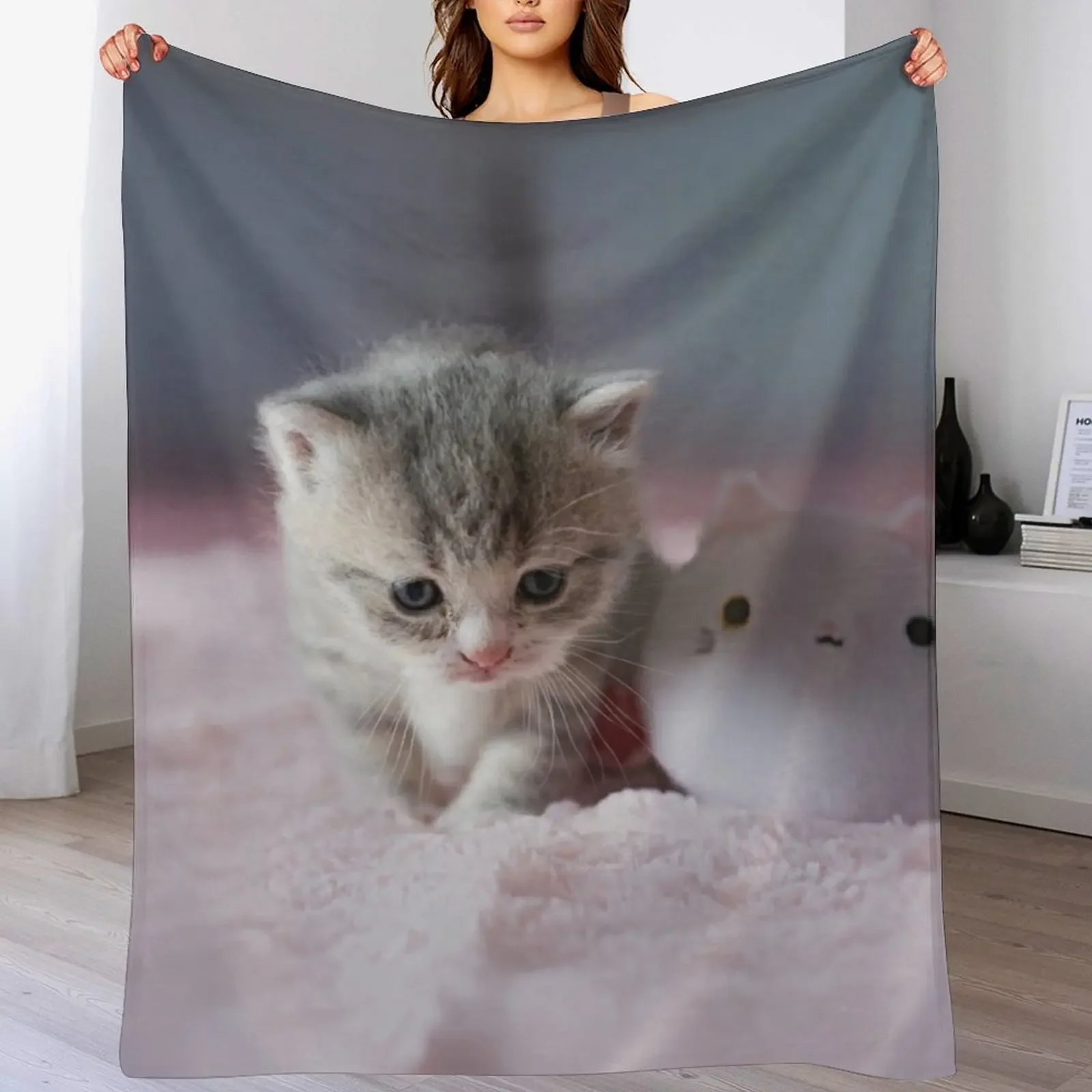

Kitten Throw Blanket Extra Large Throw Decorative Sofas For Baby For Sofa Thin Blankets