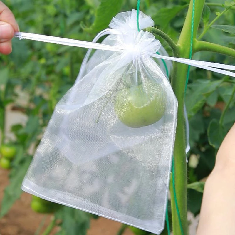 50Pcs Organza Grapes Fruit Protection Bags Pest Control Anti-Bird Garden Netting Bags Mesh Agricultural Tree Garden Tool Bags
