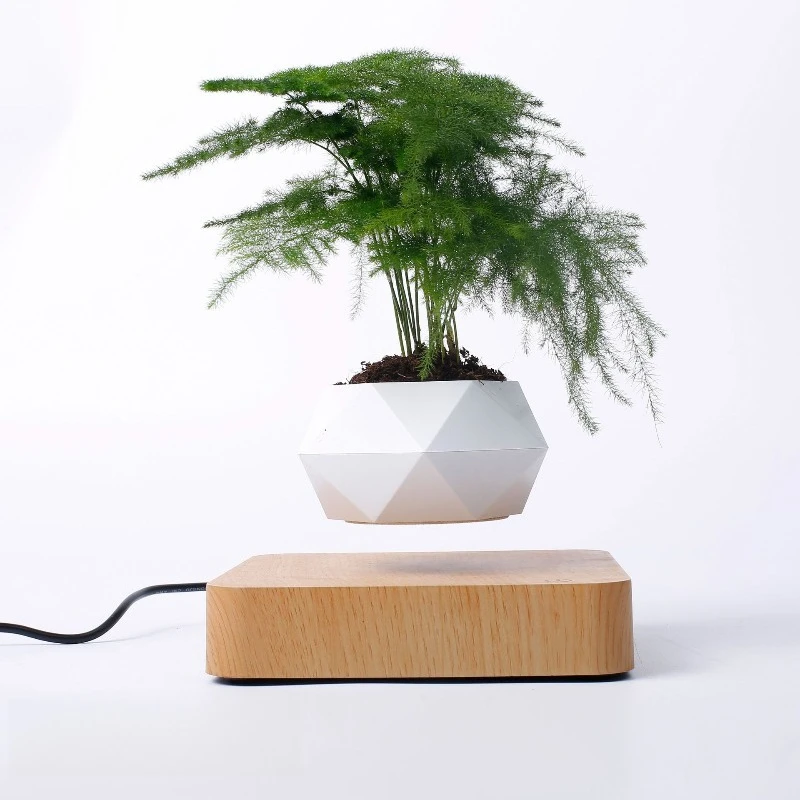 Living room home ornaments, creative crafts, plant bonsai, potted plants, flower pots, green plants