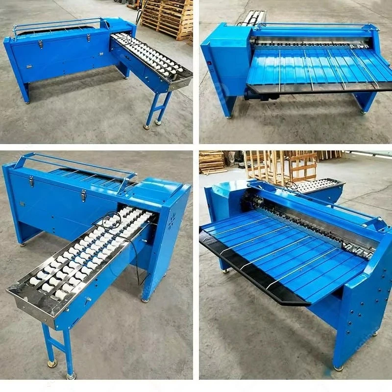 Customized Small Size Weighing Sorter 220V Motor Core Egg Grading Machine Bakery Use Food Grade Commercial Hot Pick