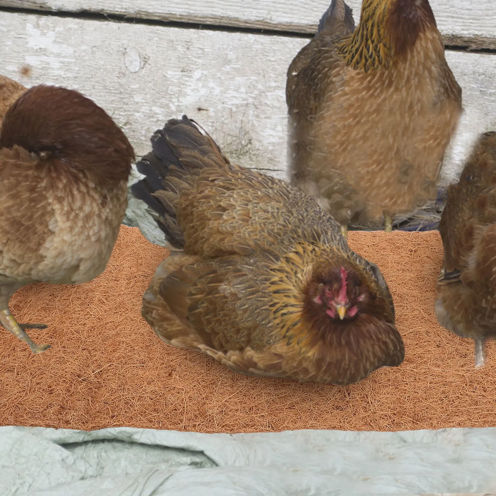 

4pcs Coconut Fiber Chicken Nest Pad Reusable Cozy Nonslip Lining Easy Clean Washable Mats for Hens Coop Poultry Accessories