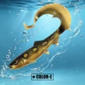 Color-E