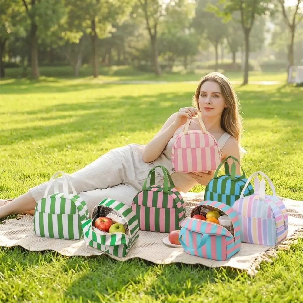 Multi-Purpose Striped Insulated Lunch Bag Leakproof Reusable Food Tote Bag Handheld with Handle Travel Toiletry Bag Outdoor